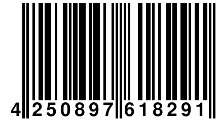 4 250897 618291