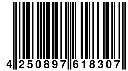 4 250897 618307