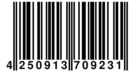 4 250913 709231