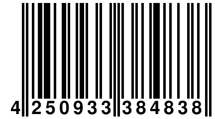 4 250933 384838