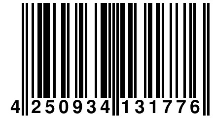 4 250934 131776