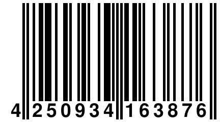 4 250934 163876
