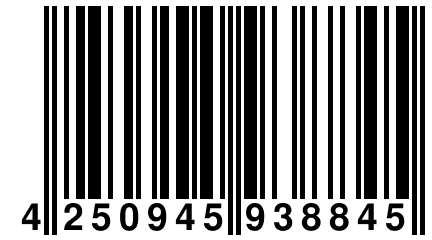 4 250945 938845