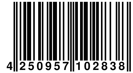 4 250957 102838
