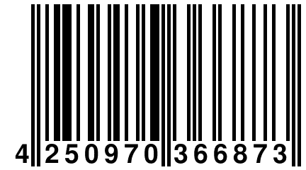 4 250970 366873