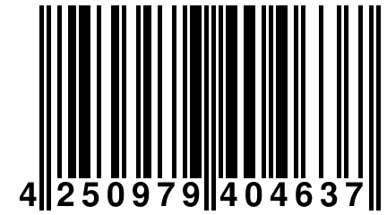 4 250979 404637