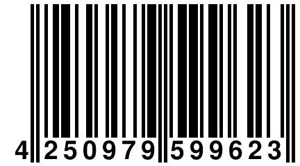 4 250979 599623