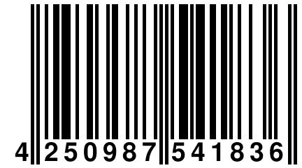 4 250987 541836