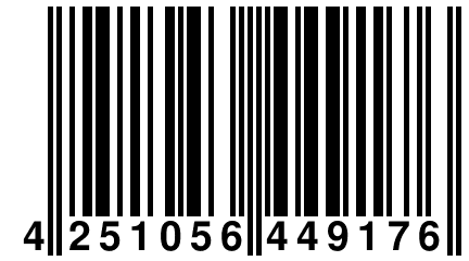 4 251056 449176