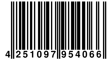 4 251097 954066