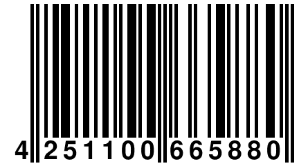 4 251100 665880