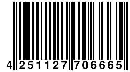 4 251127 706665