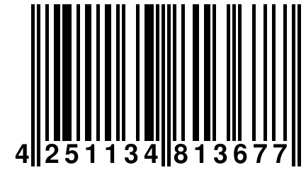 4 251134 813677