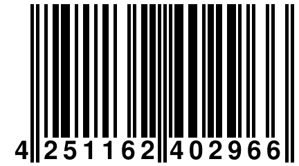 4 251162 402966