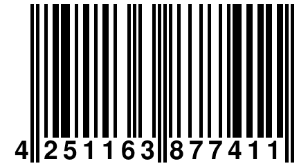 4 251163 877411