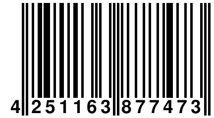 4 251163 877473