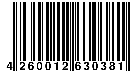 4 260012 630381