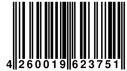 4 260019 623751