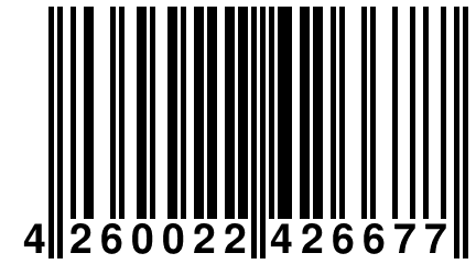 4 260022 426677