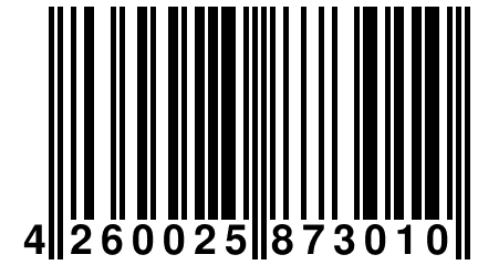 4 260025 873010