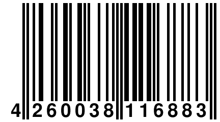 4 260038 116883