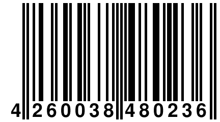 4 260038 480236