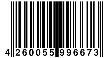 4 260055 996673
