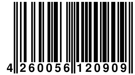 4 260056 120909