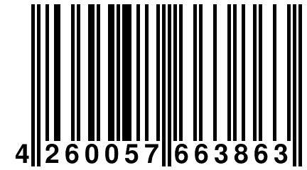 4 260057 663863