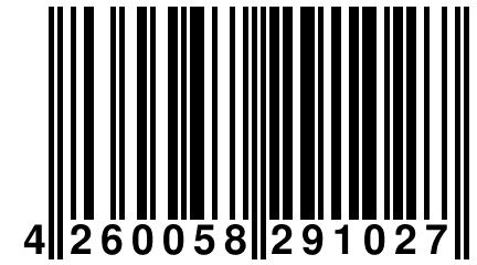 4 260058 291027