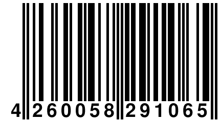 4 260058 291065
