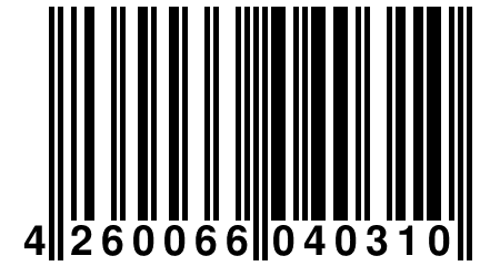 4 260066 040310