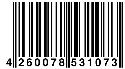 4 260078 531073