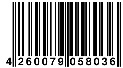 4 260079 058036