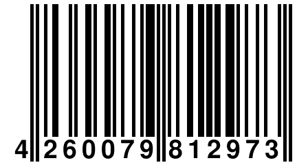 4 260079 812973