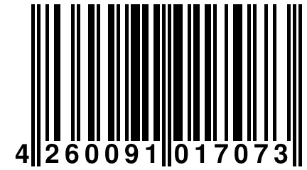 4 260091 017073