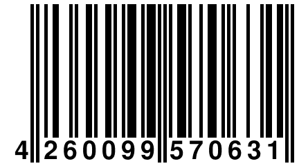 4 260099 570631