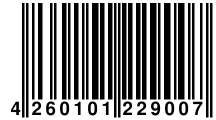 4 260101 229007