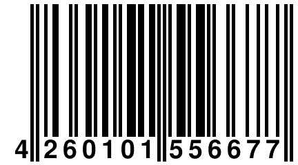 4 260101 556677