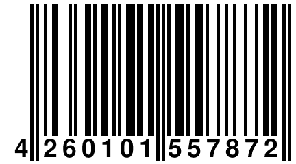 4 260101 557872