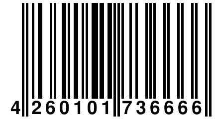 4 260101 736666