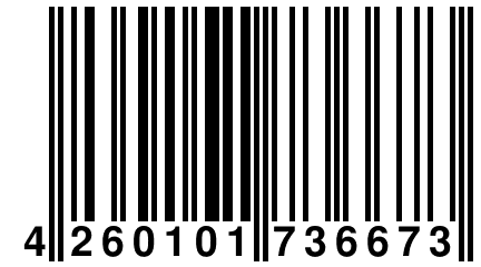 4 260101 736673