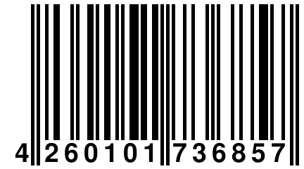 4 260101 736857