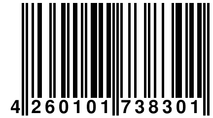 4 260101 738301