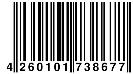 4 260101 738677