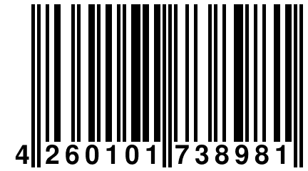 4 260101 738981