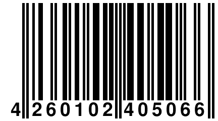 4 260102 405066