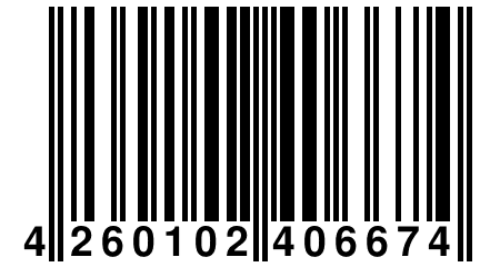 4 260102 406674