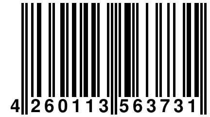 4 260113 563731