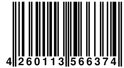 4 260113 566374